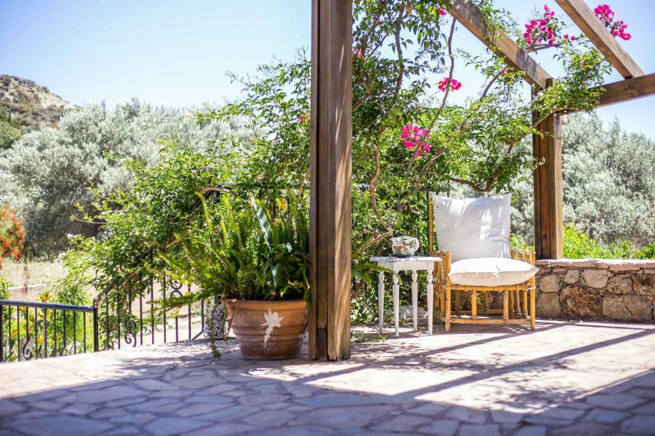 Sunny Countryside Villa - With Private Pool ฟาลิรากี ภายนอก รูปภาพ